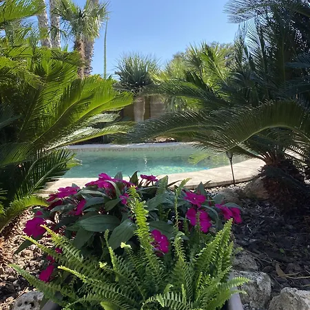 Holiday home Vineyard Vista Retreat - Pacs del Penedes