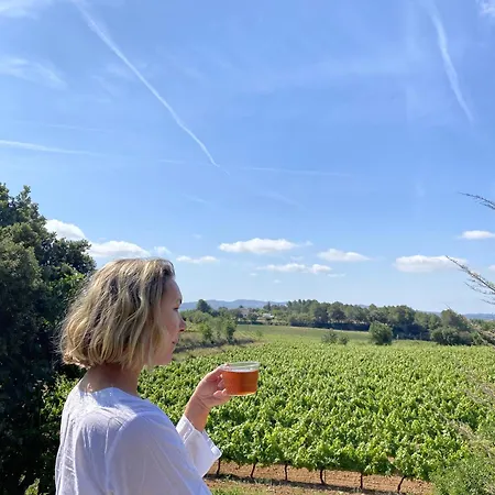 Holiday home Vineyard Vista Retreat - *